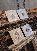 Fantasy bugs