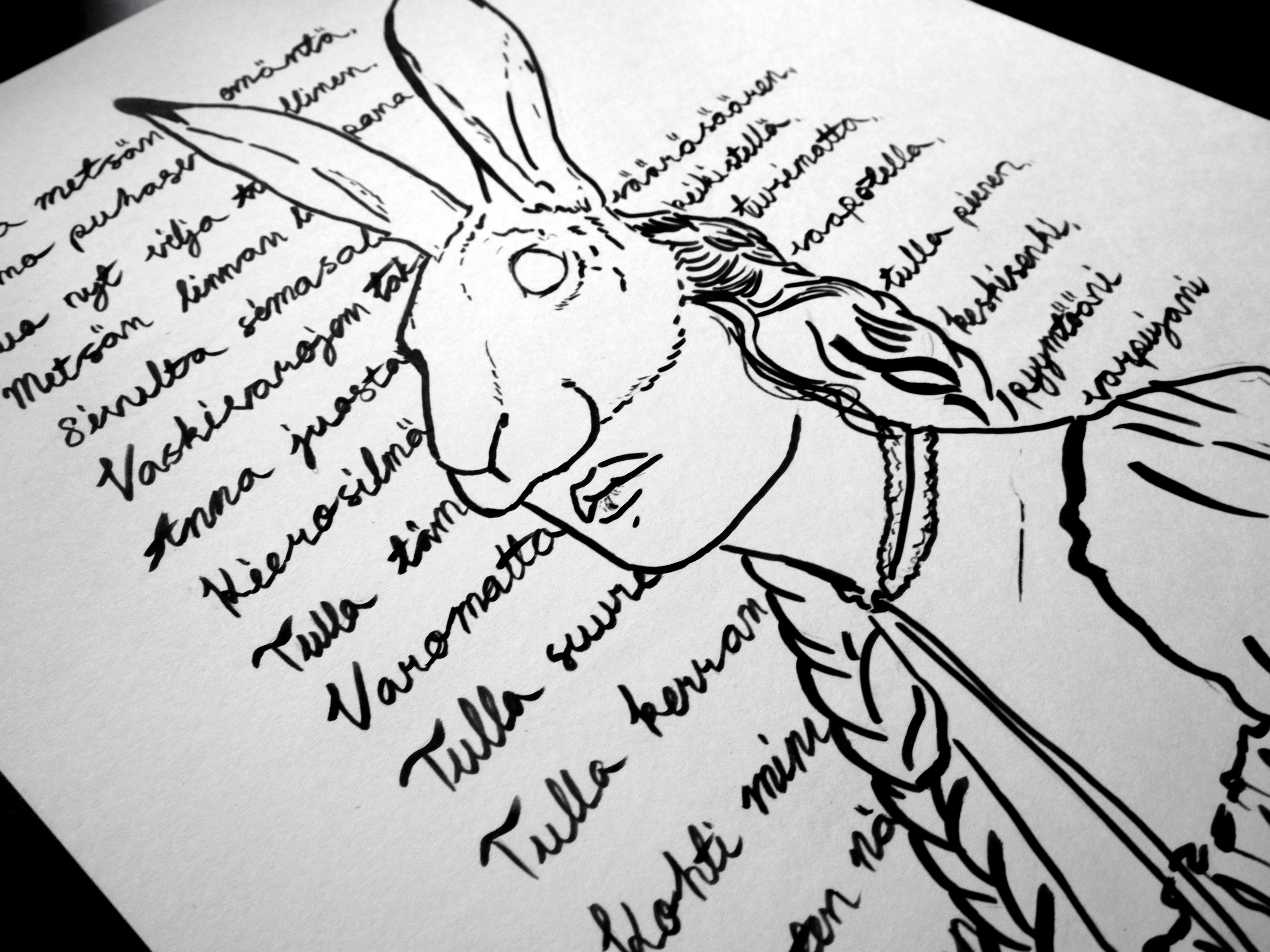 Jäniksiä pyytäissä