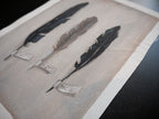 Feathers