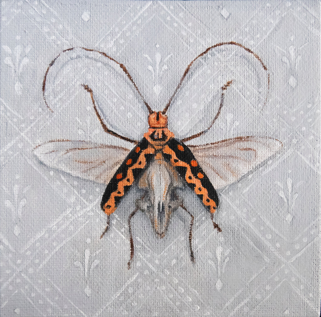 Fantasy bugs