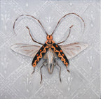 Fantasy bugs