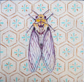 Fantasy bugs