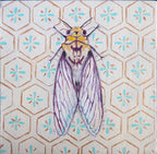 Fantasy bugs