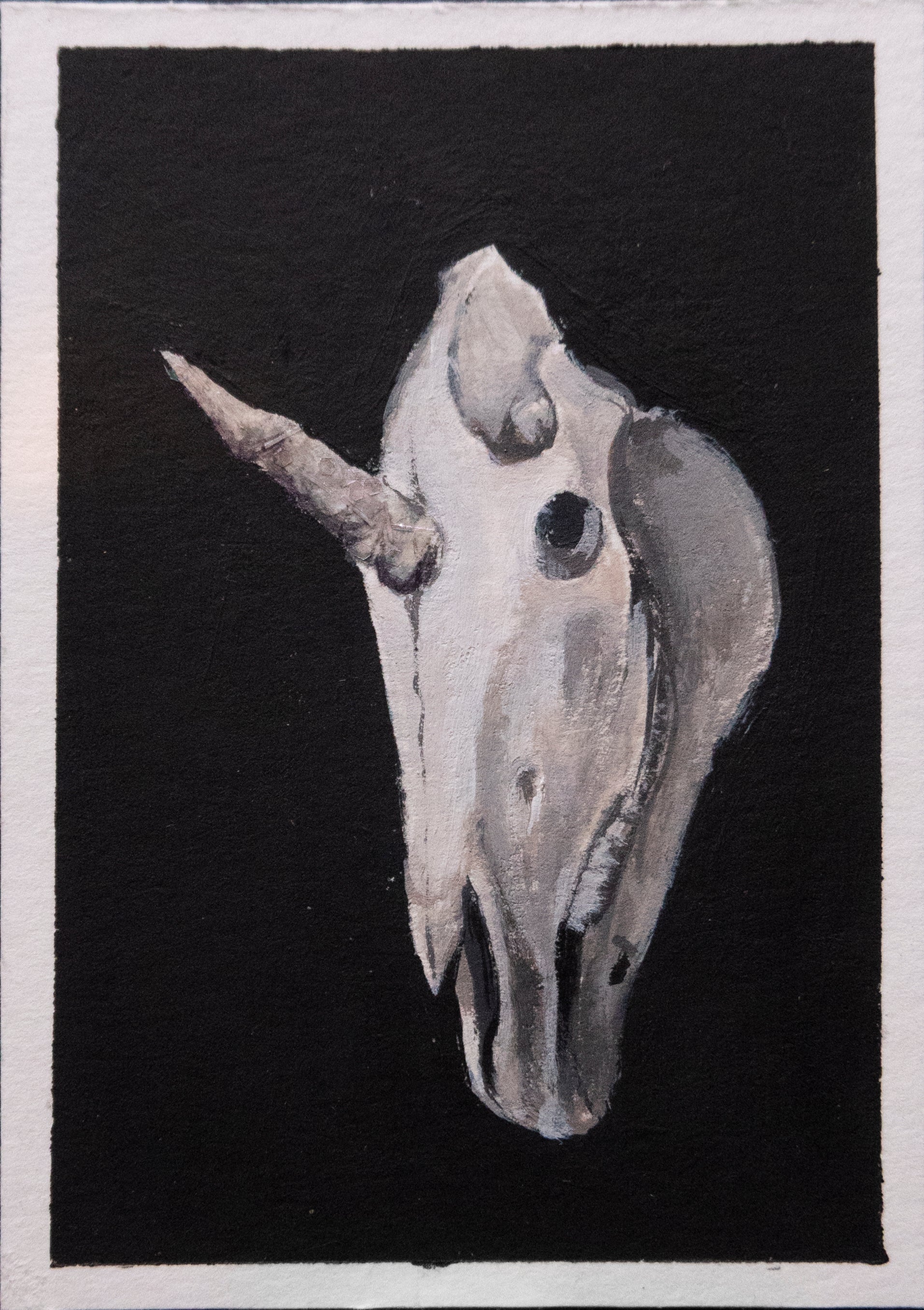 Skulls and bones: Unicorn