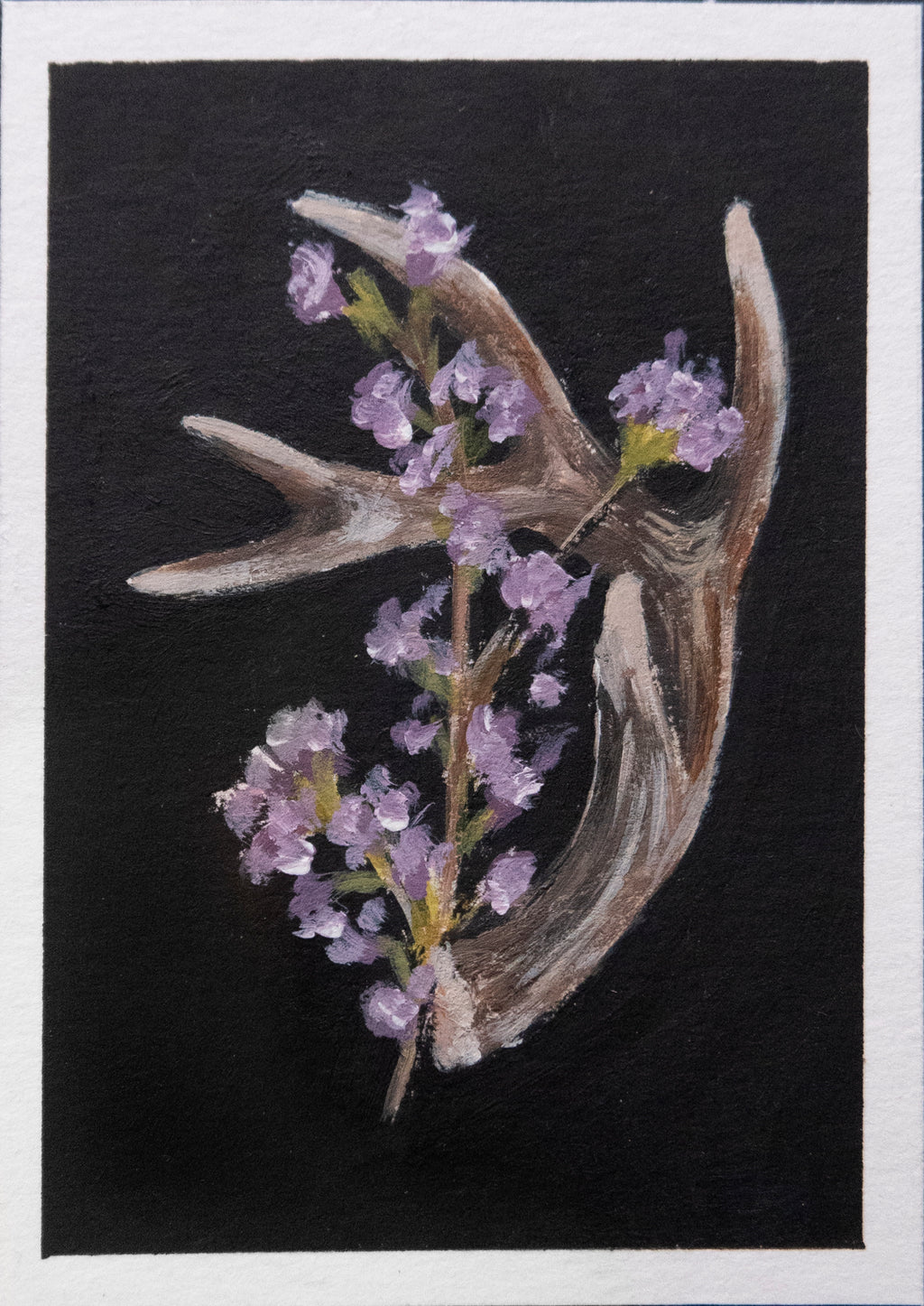 Skulls and bones: Floral antler