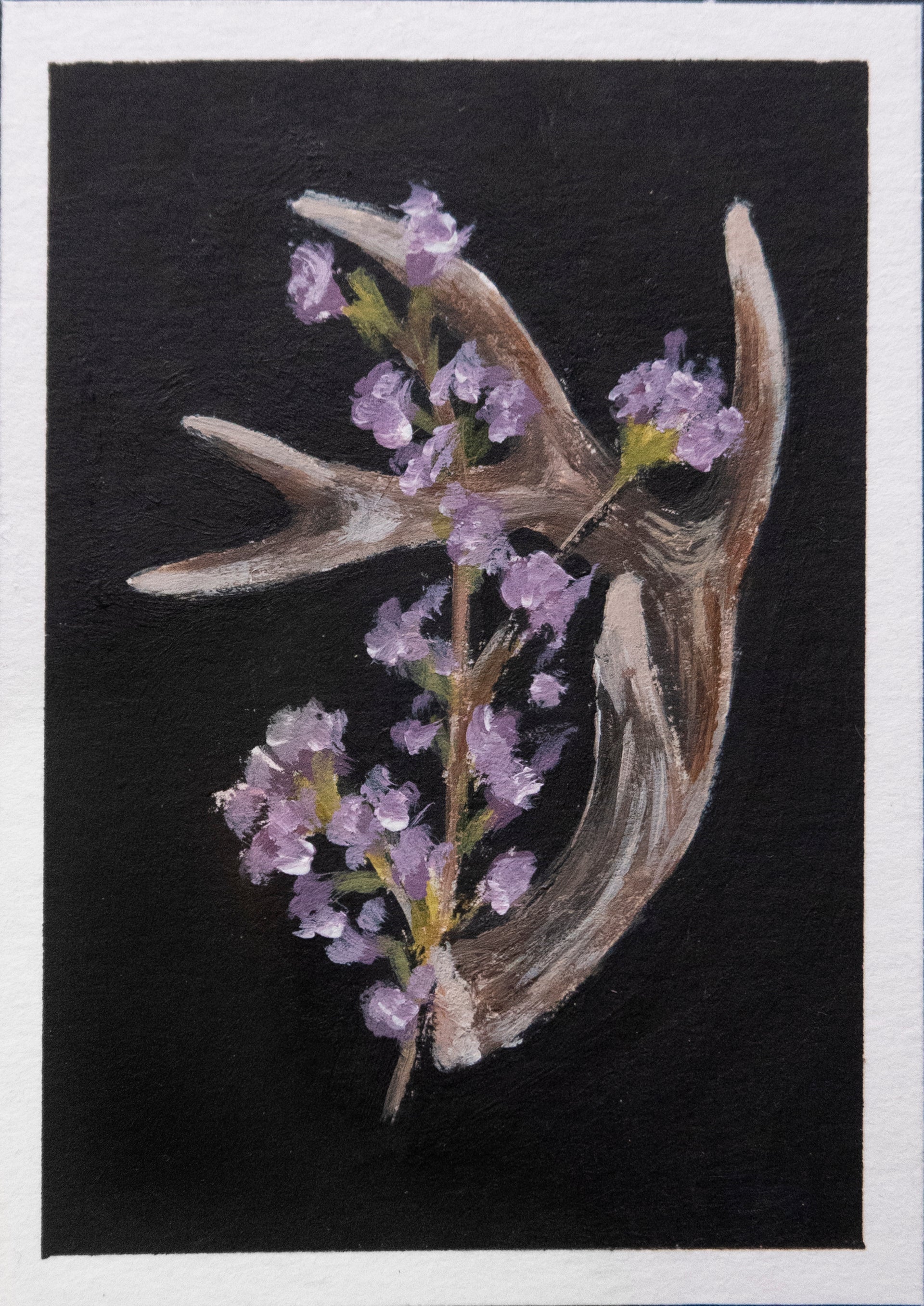 Skulls and bones: Floral antler