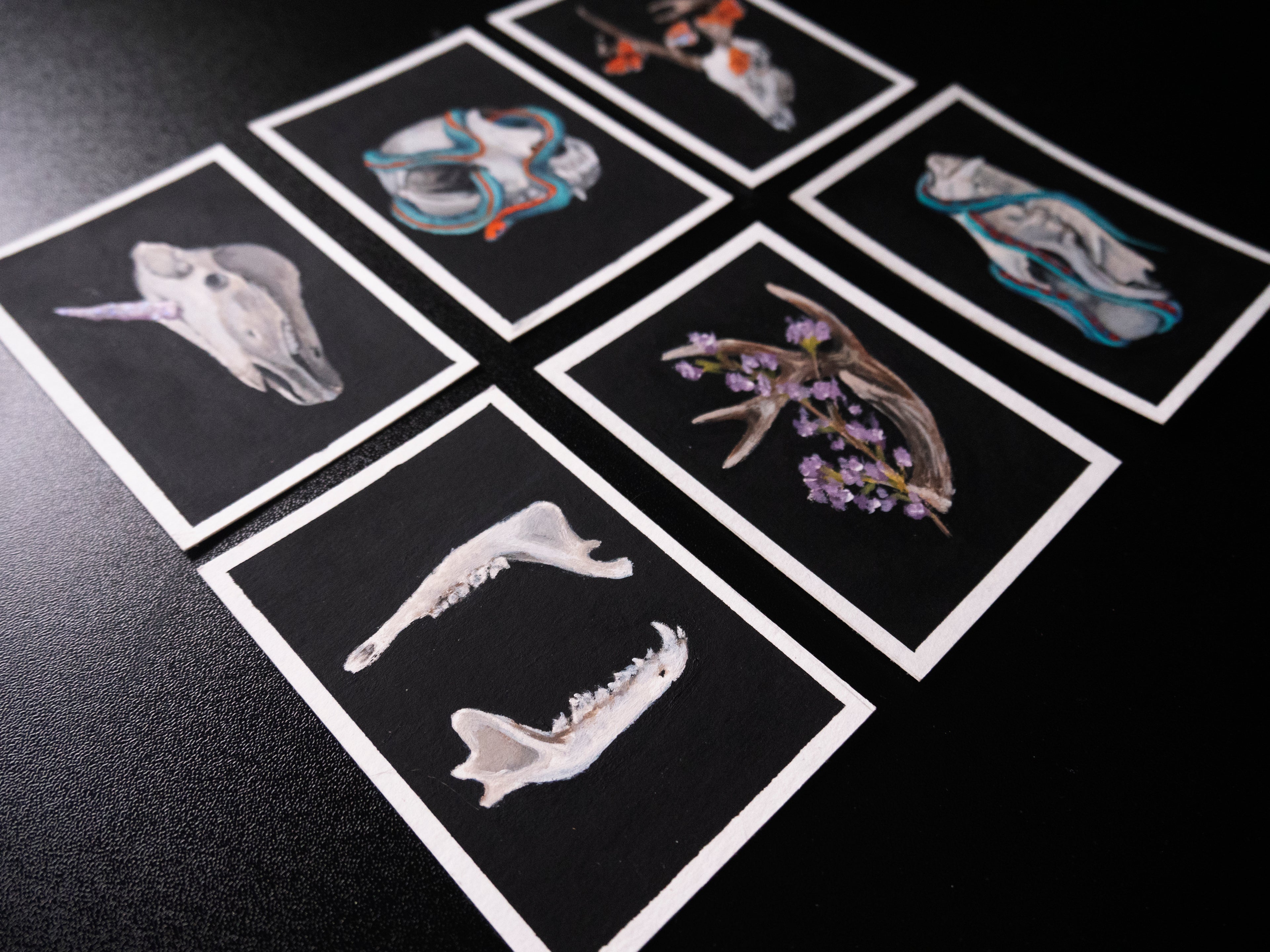 Skulls and bones: Unicorn