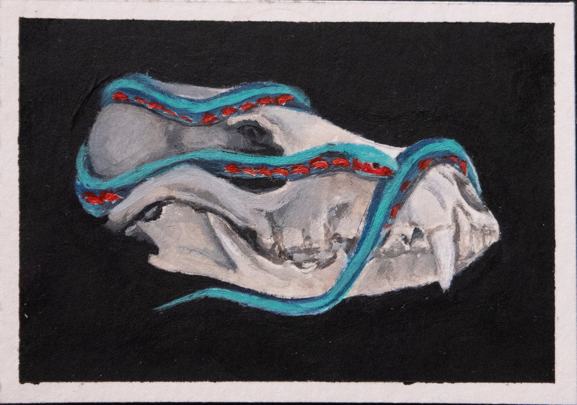 Skulls and bones: Canine skull