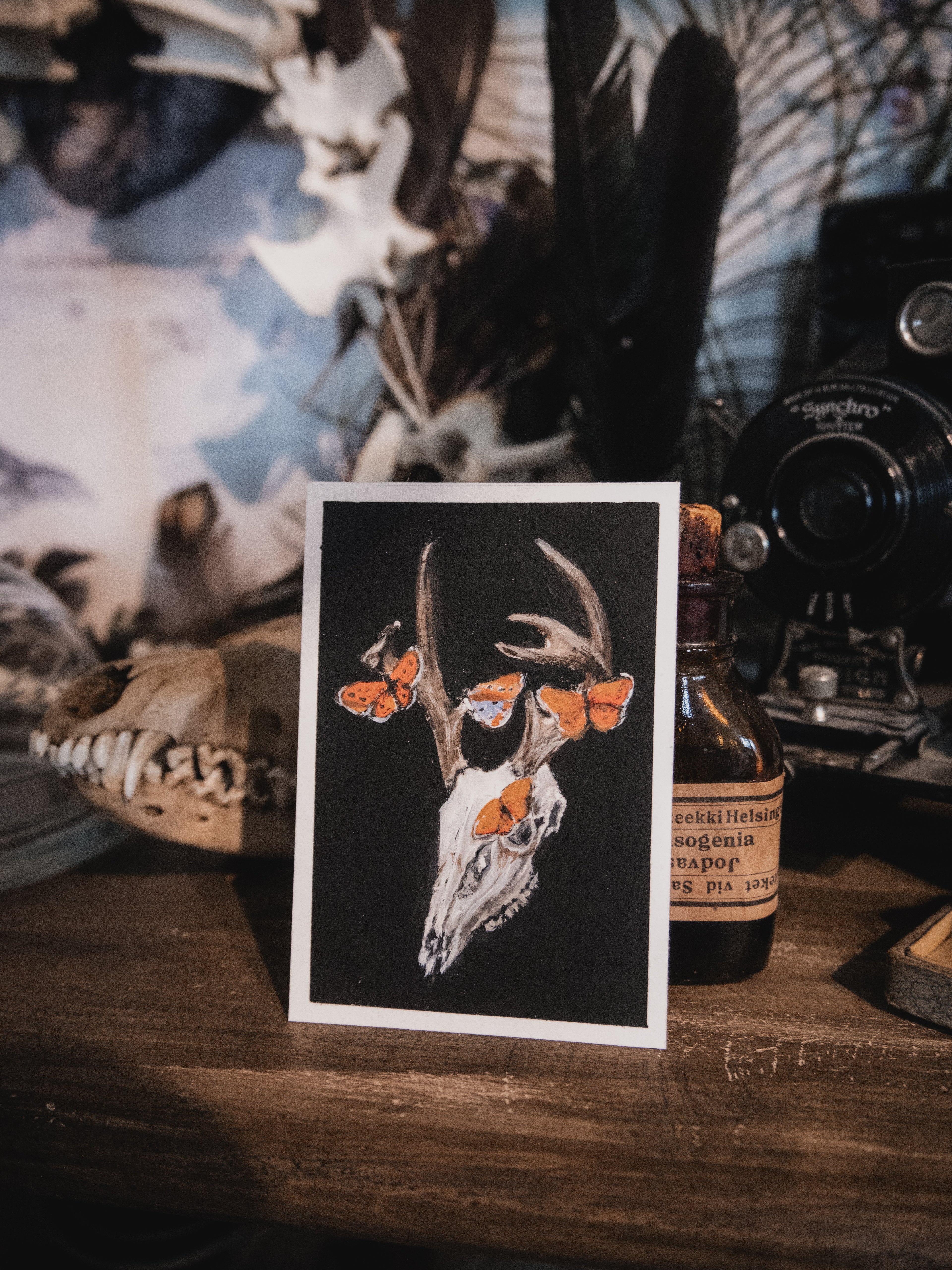 Skulls and bones: Large copper