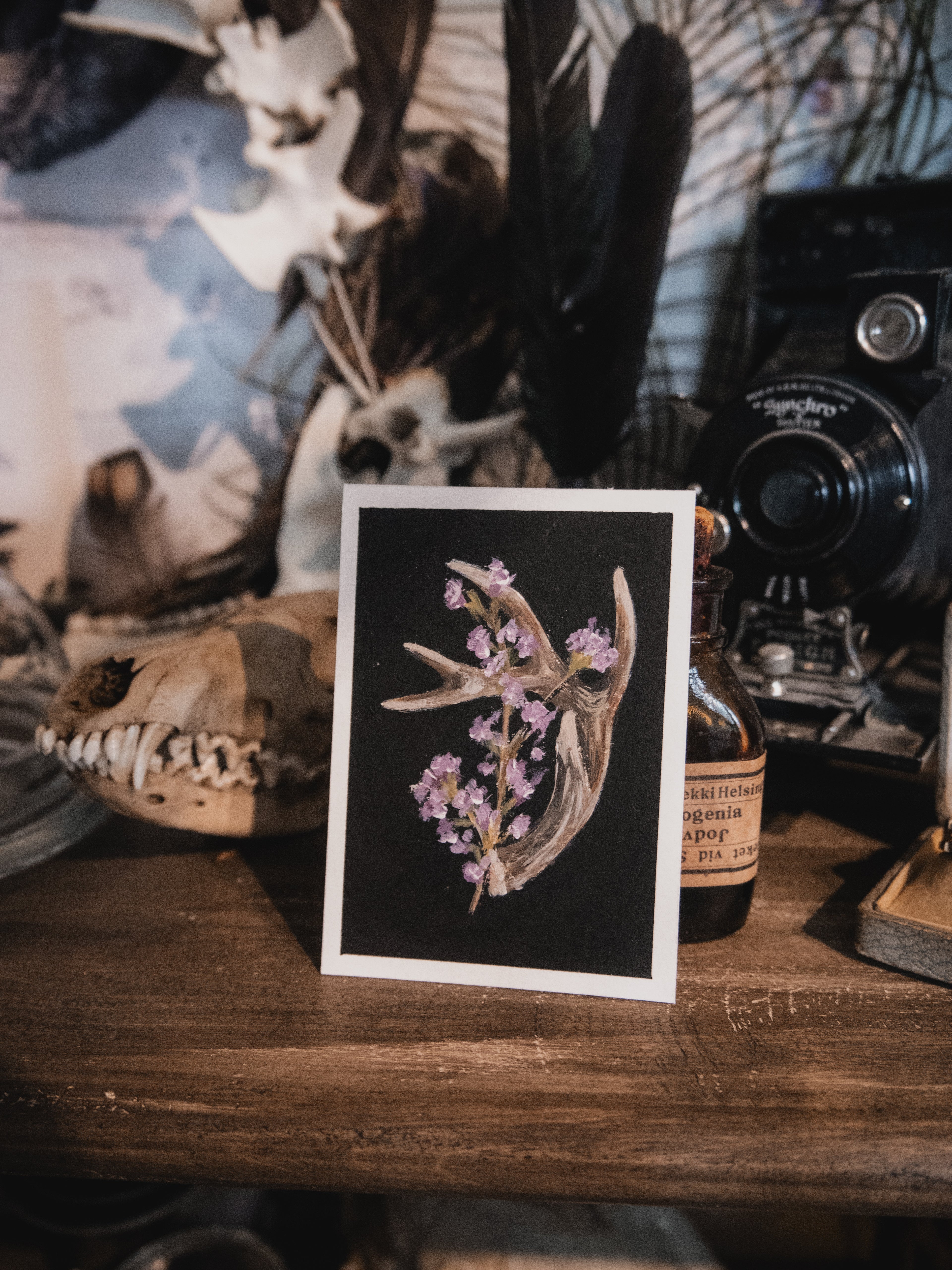 Skulls and bones: Floral antler