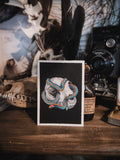 Skulls and bones: Cat skull