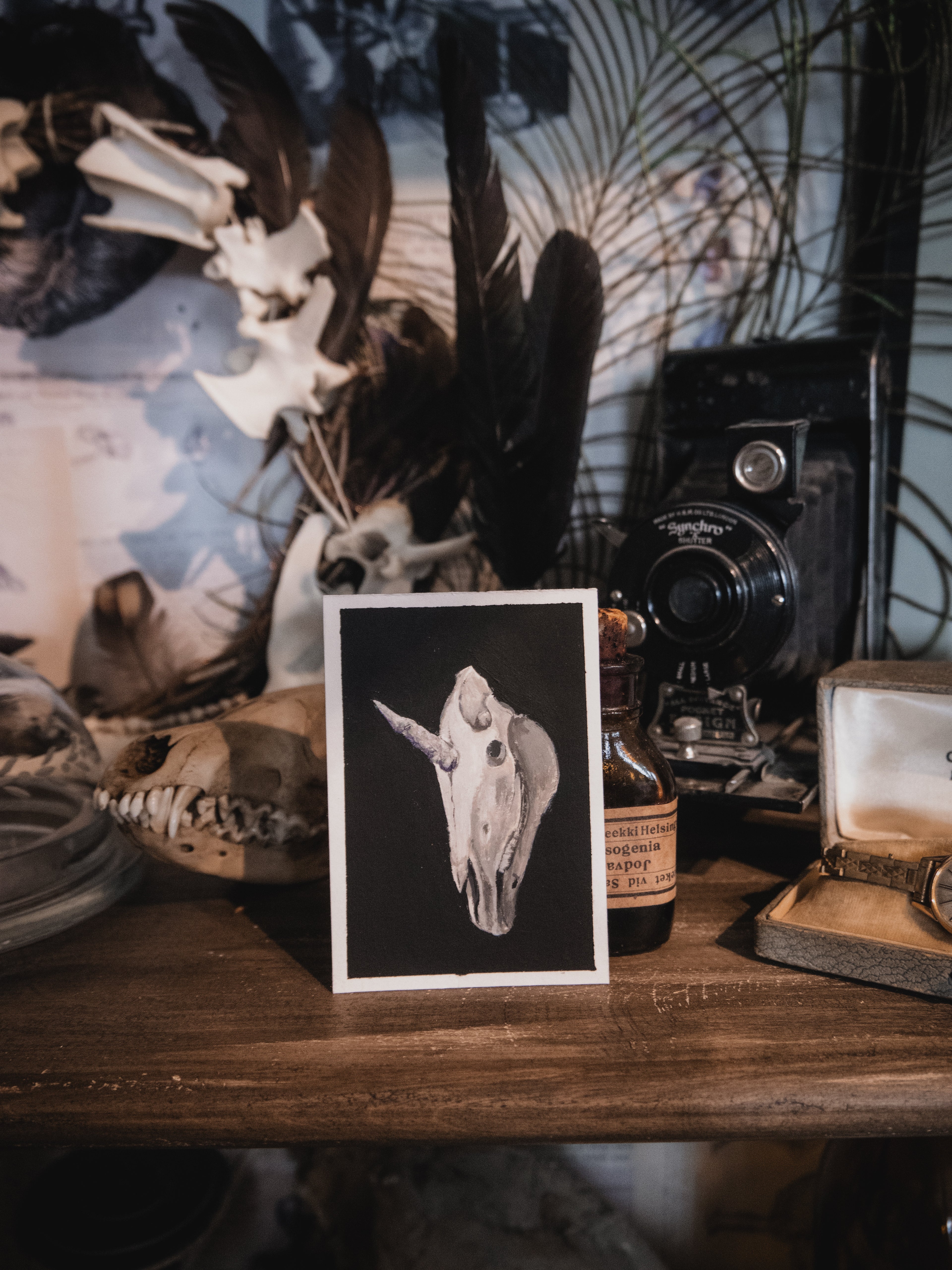 Skulls and bones: Unicorn
