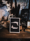 Skulls and bones: Jaws