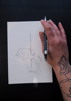 Carousel foal sketch