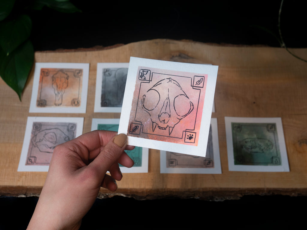 Experimental skull illustrations