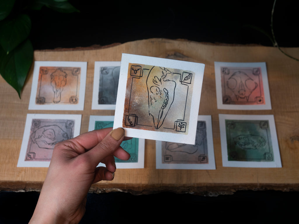 Experimental skull illustrations