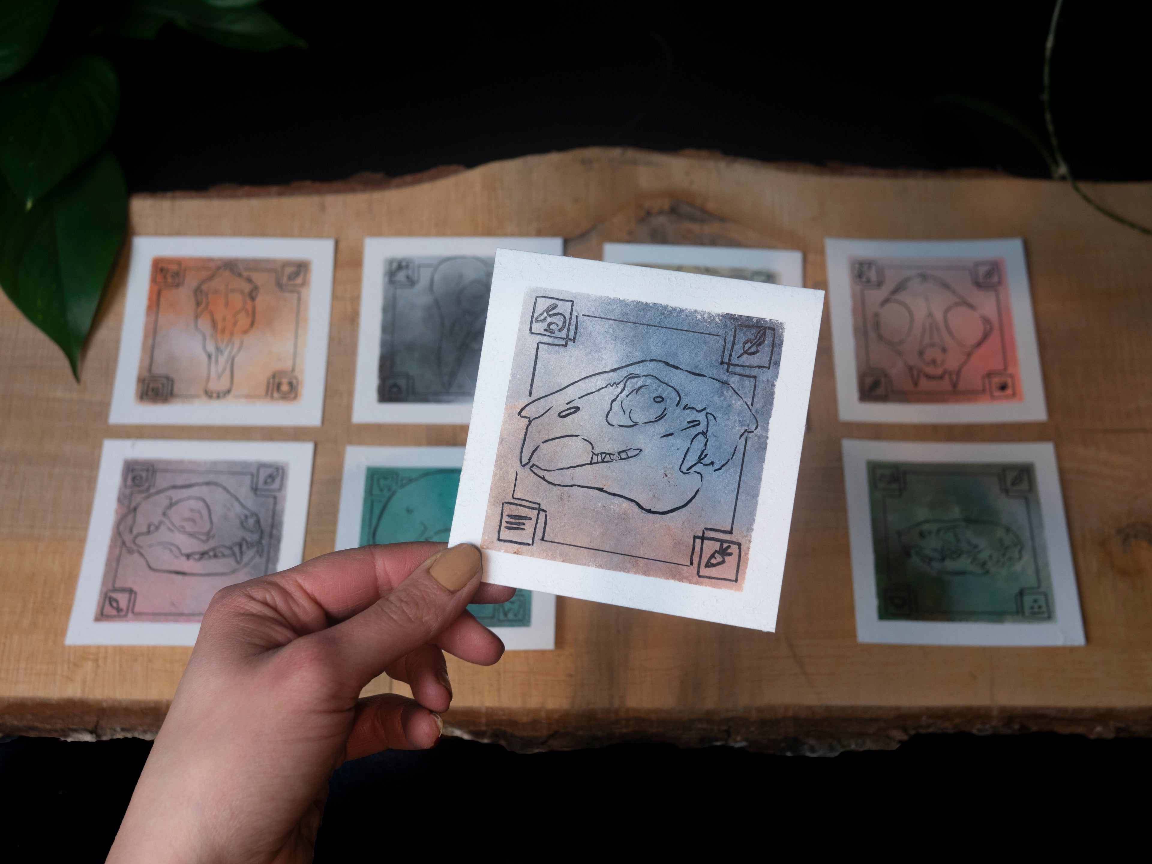 Experimental skull illustrations