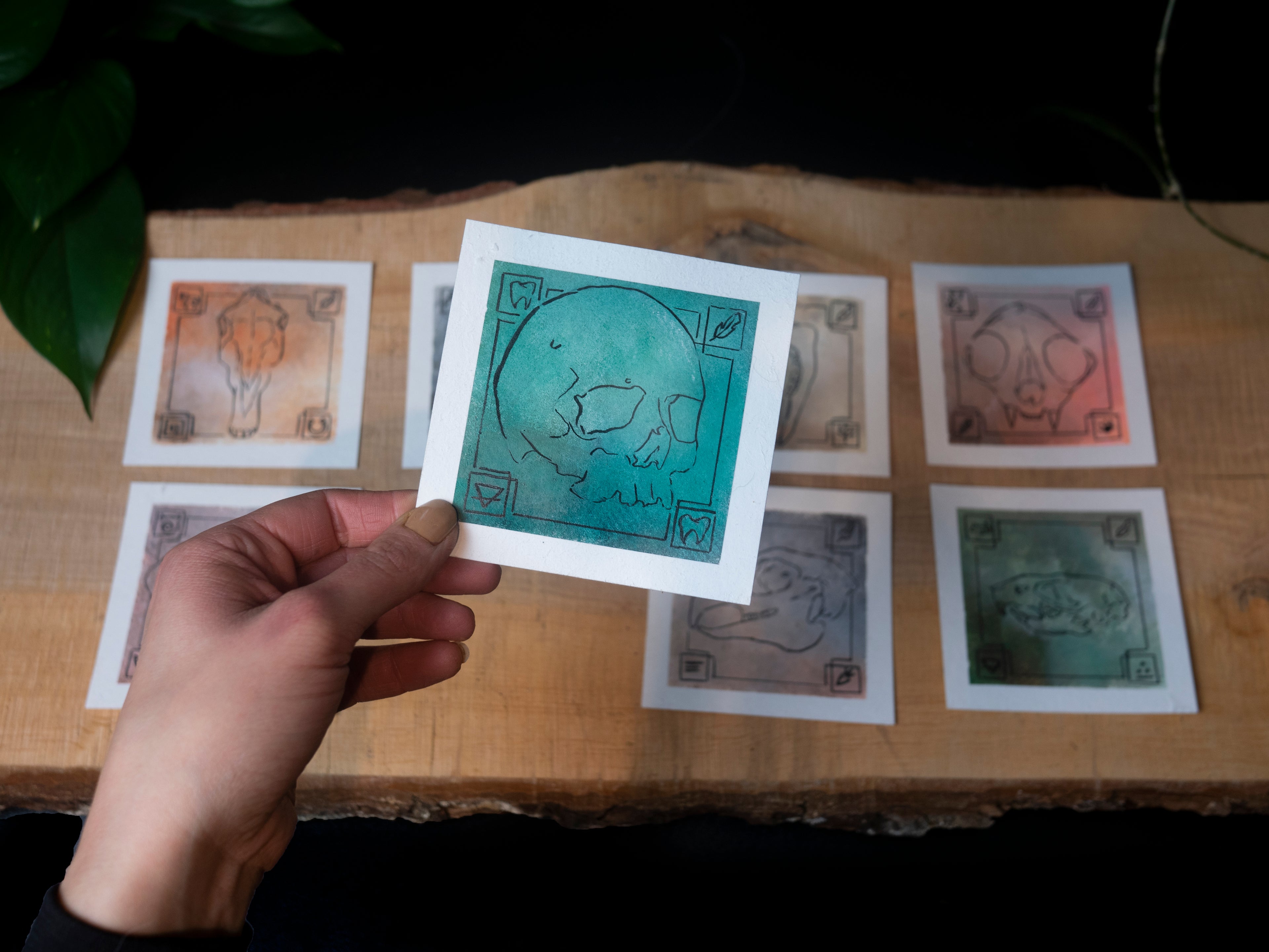 Experimental skull illustrations