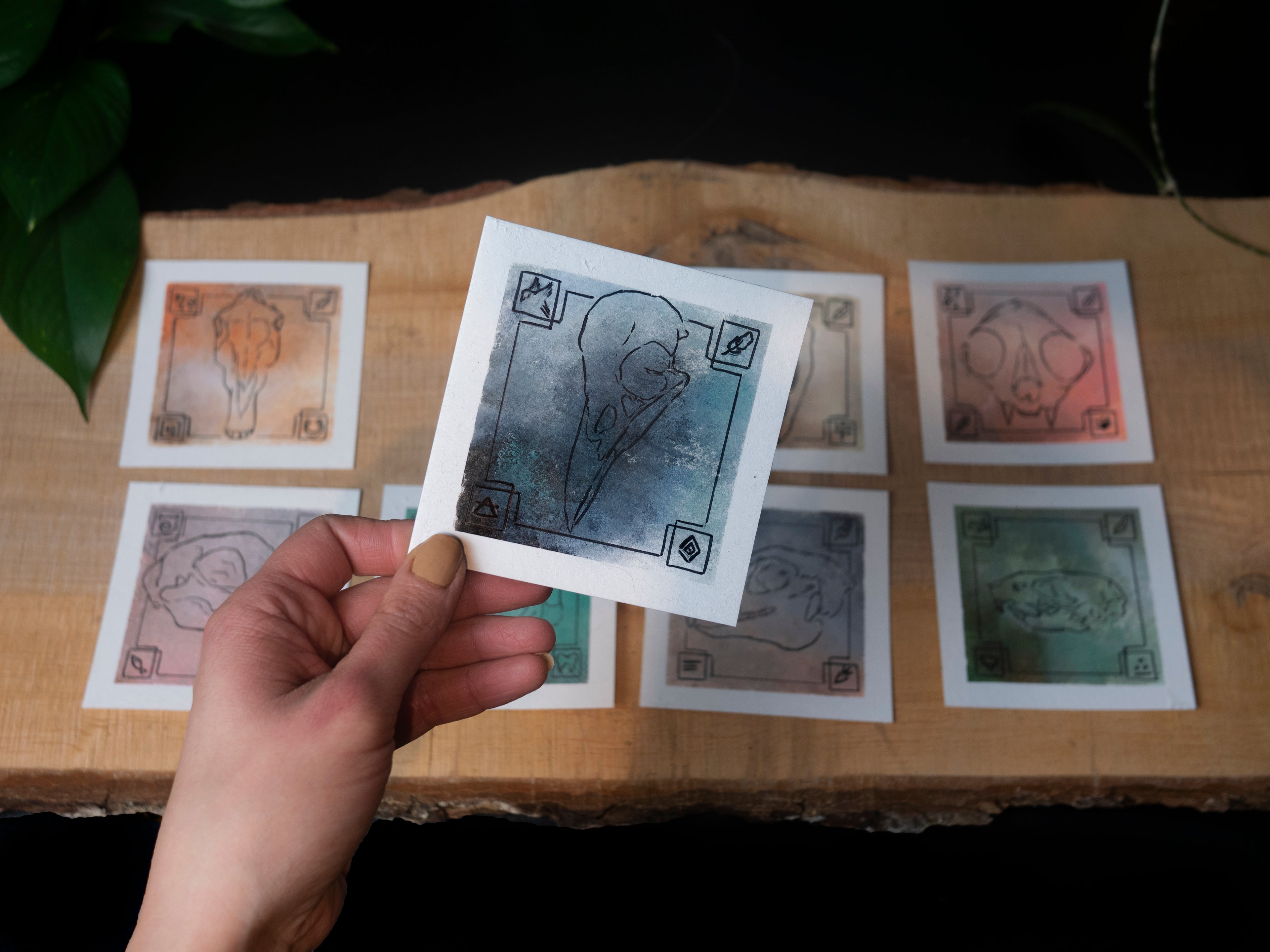 Experimental skull illustrations