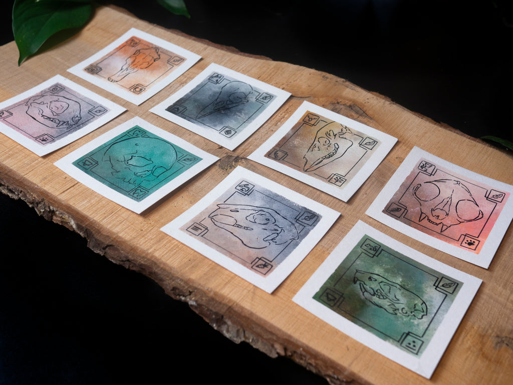 Experimental skull illustrations