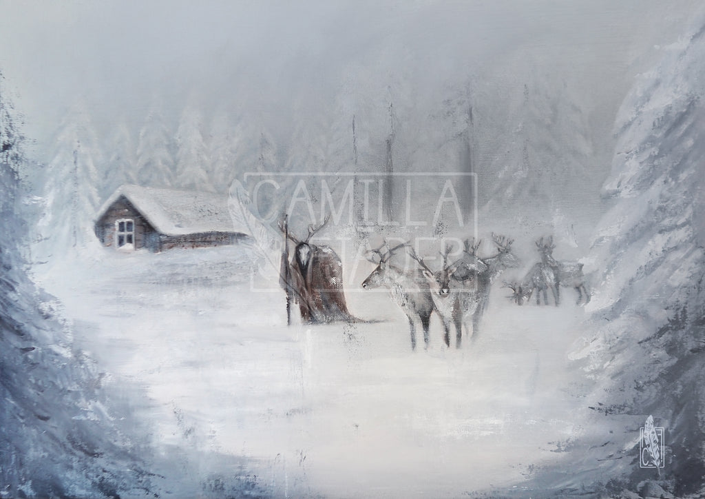 Winter wonderland