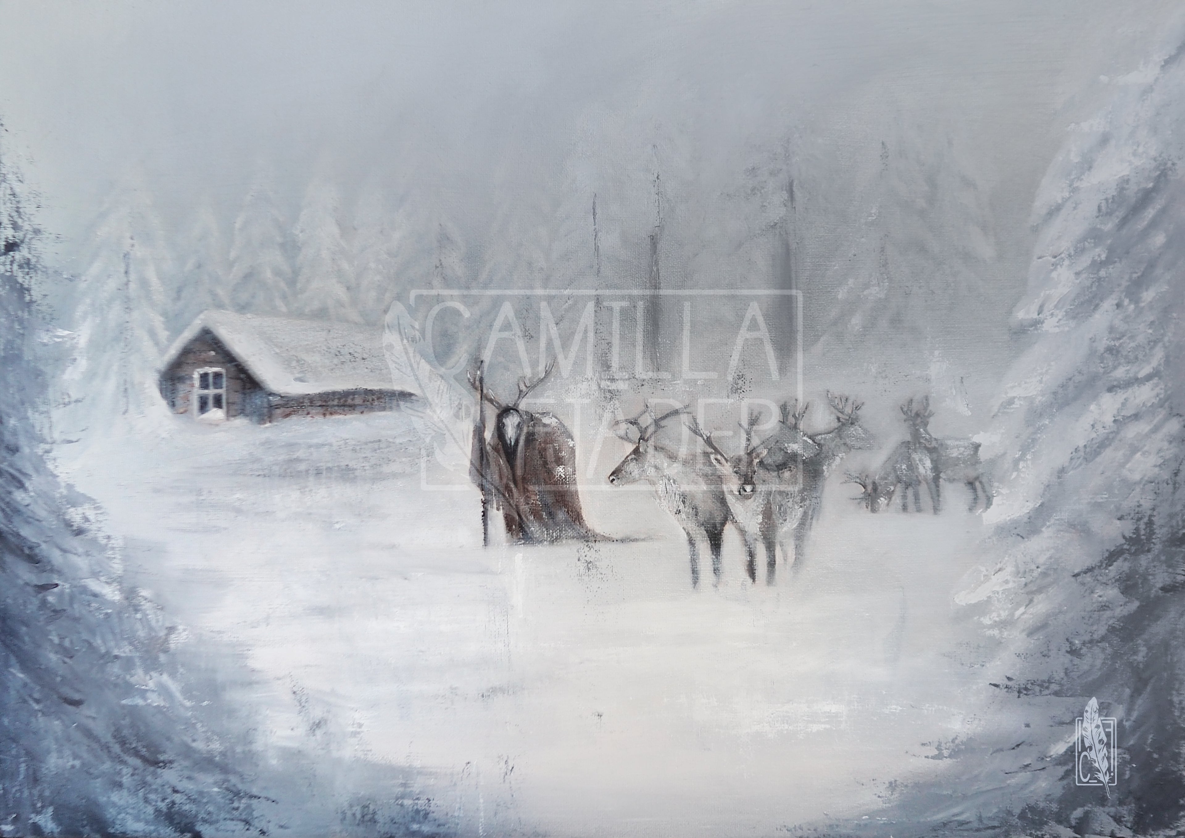 Winter wonderland