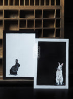 Complementary opposites