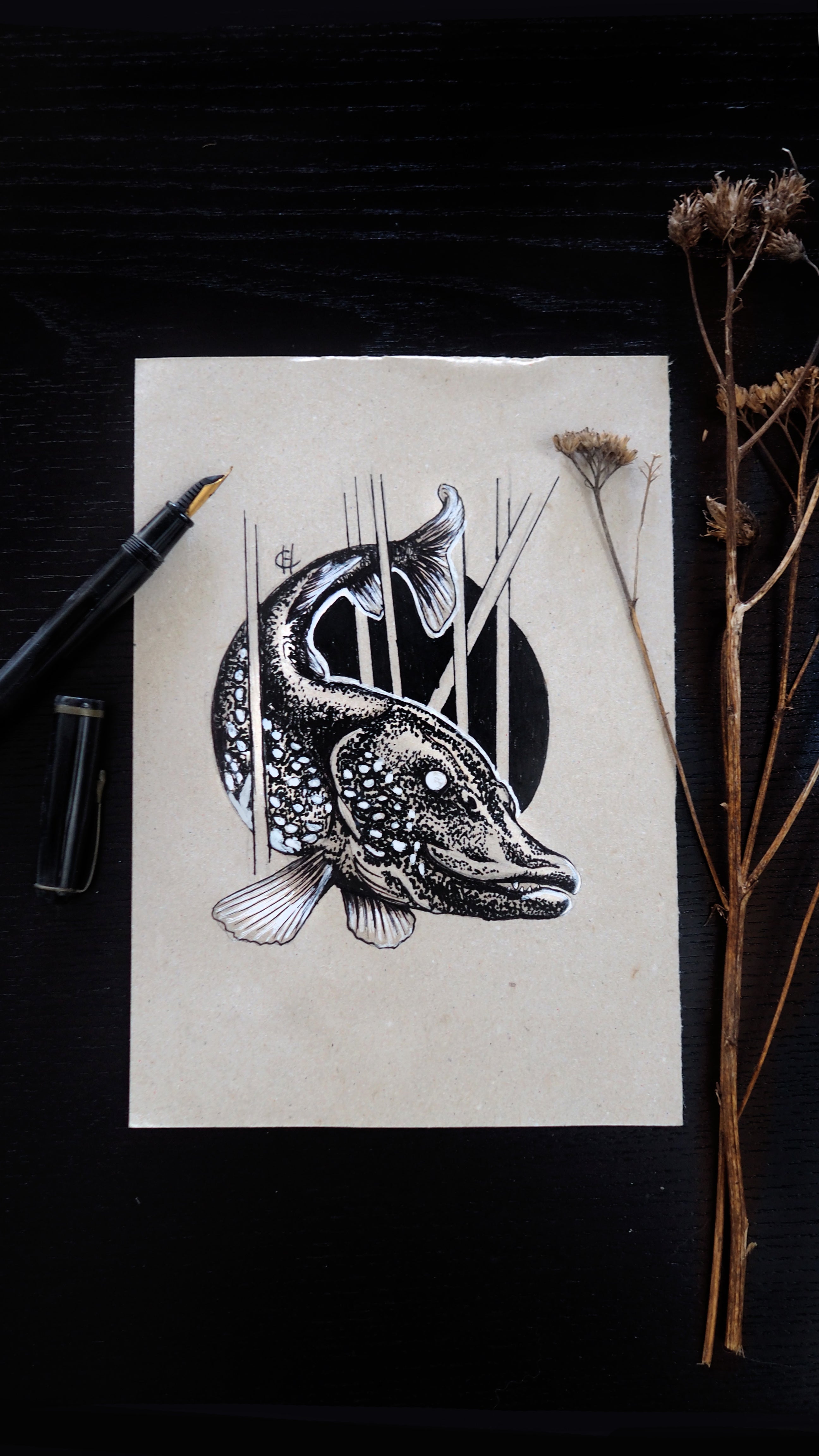 Fish