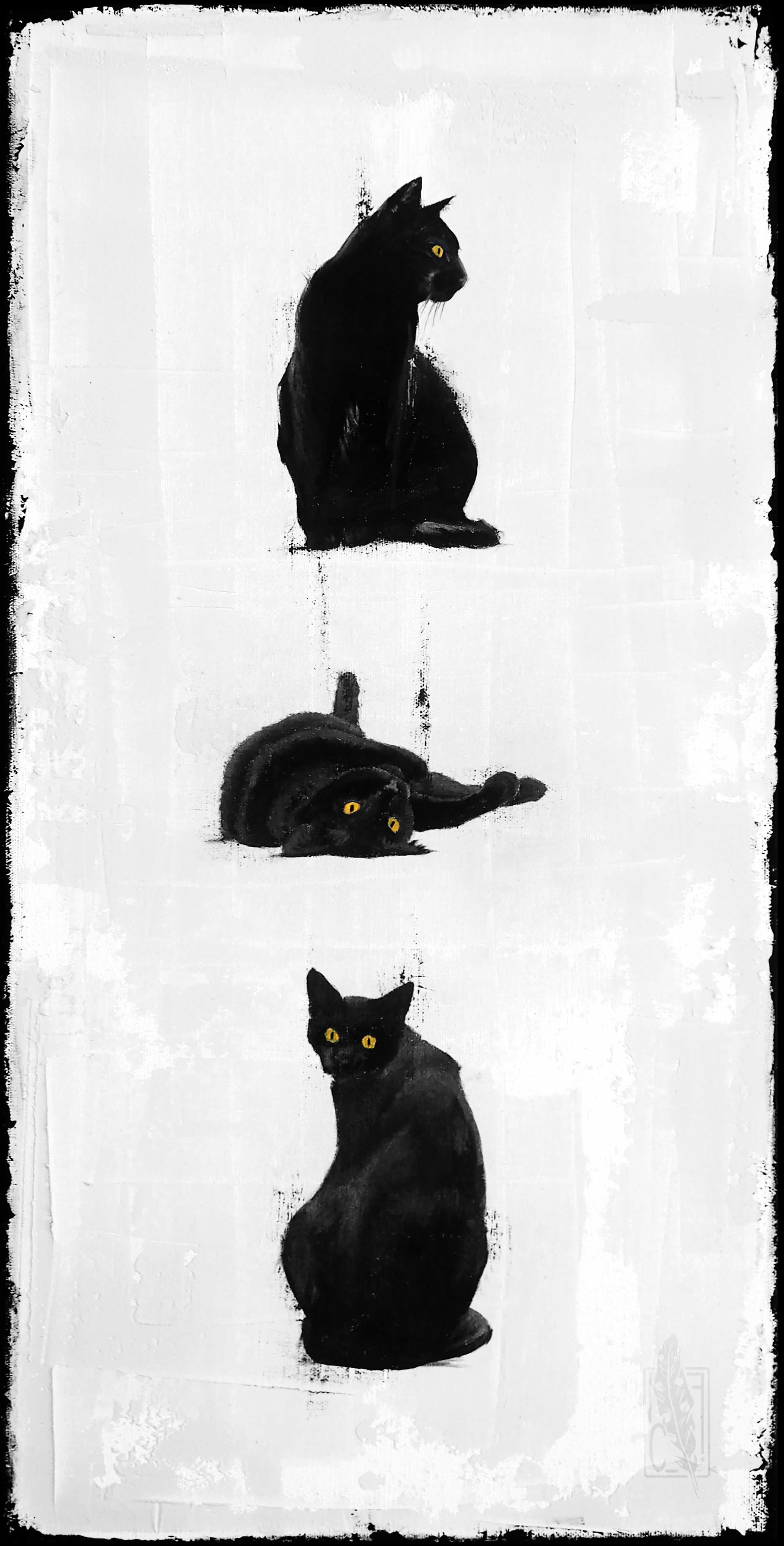 The black cats