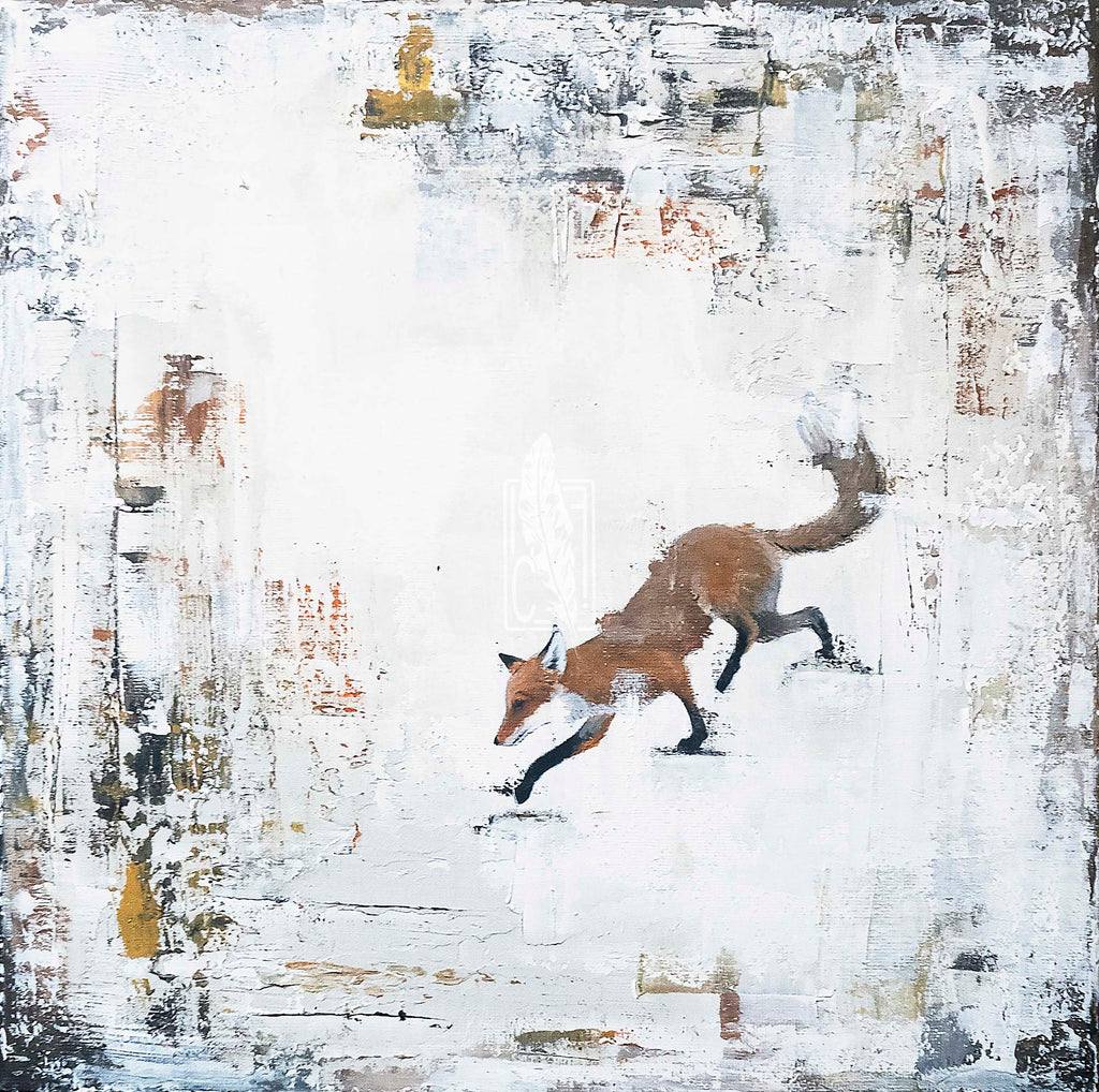 A fox's morning stroll