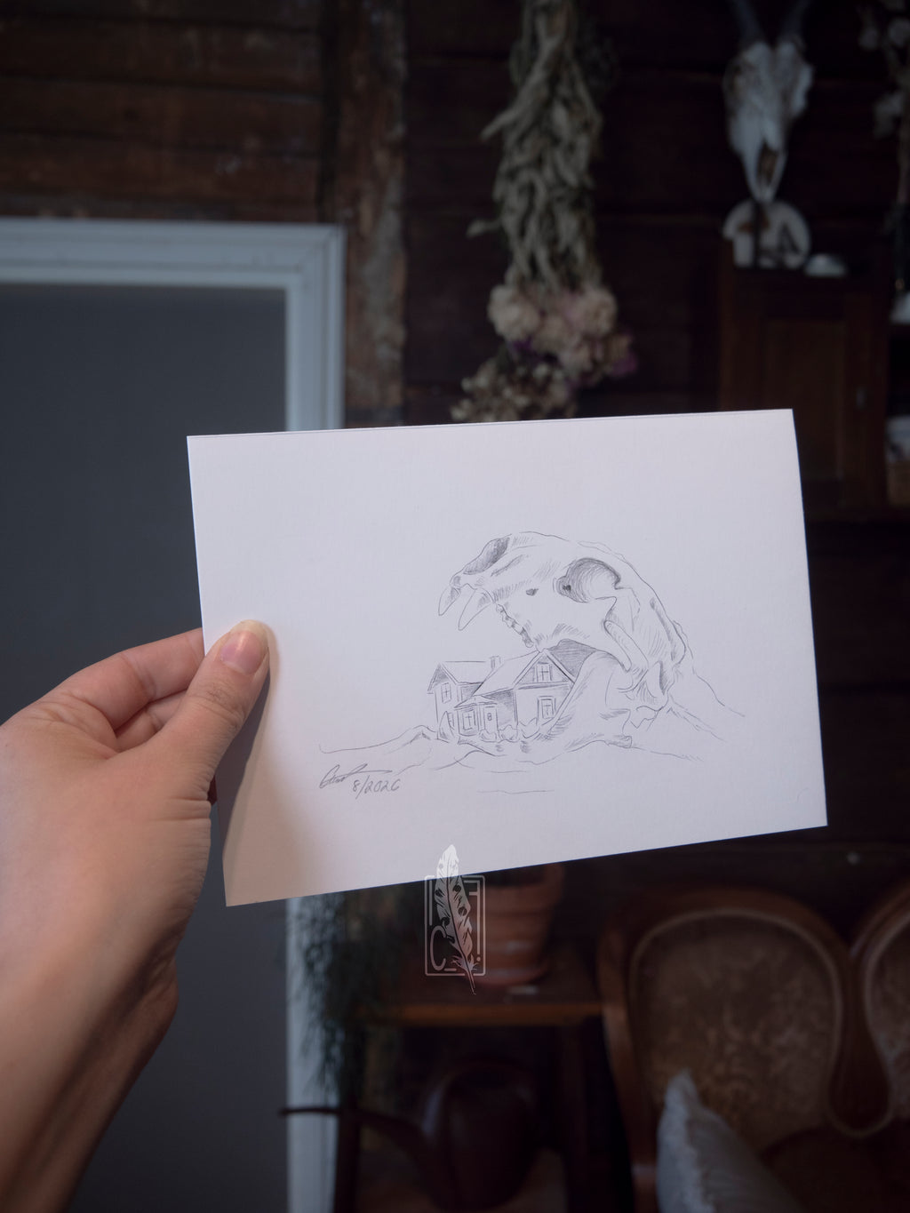 Cat skull cottage sketch