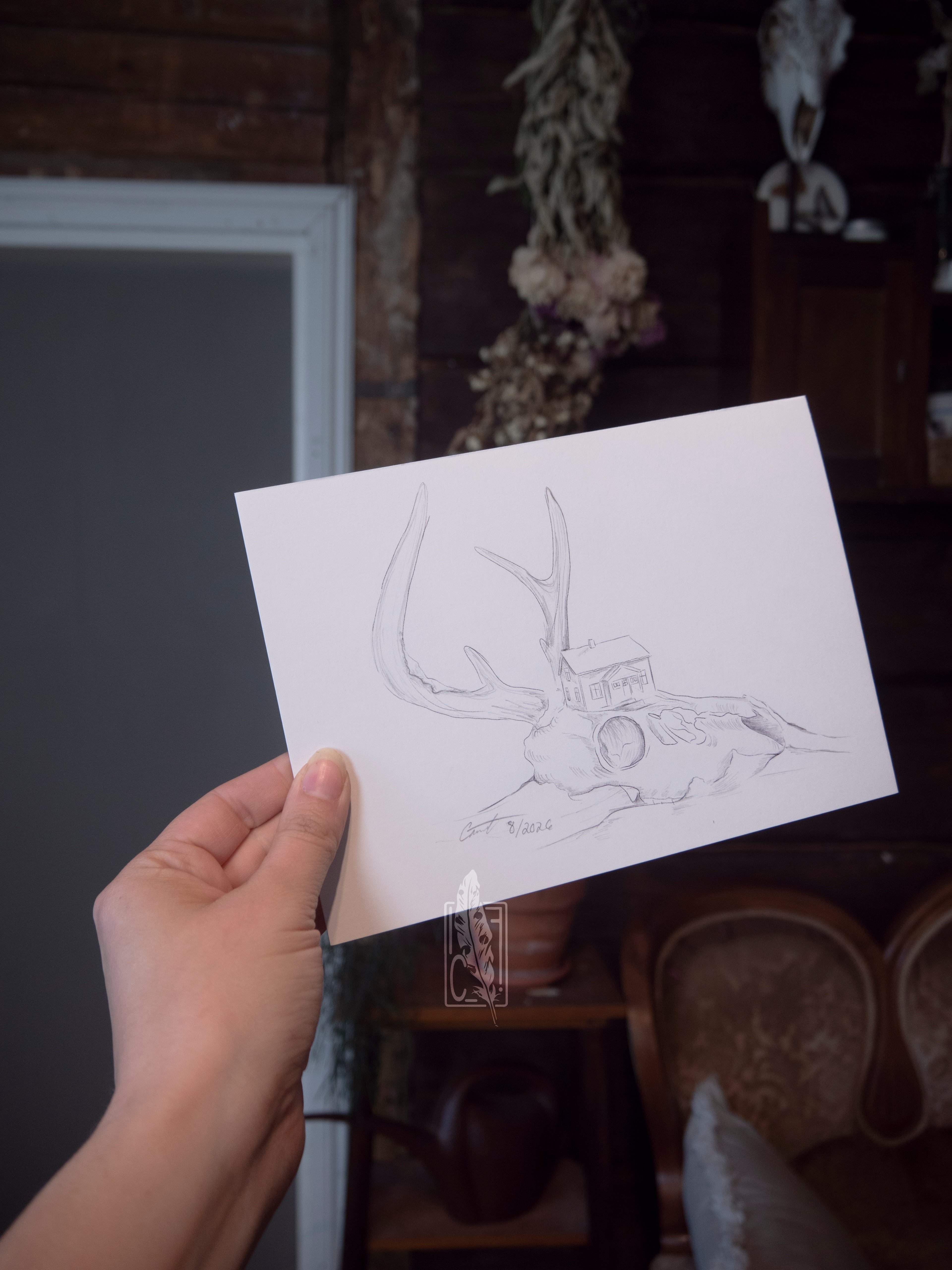 Deer skull cottage sketch