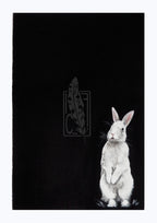 Complementary opposites