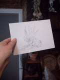 Wolf with antler sketch