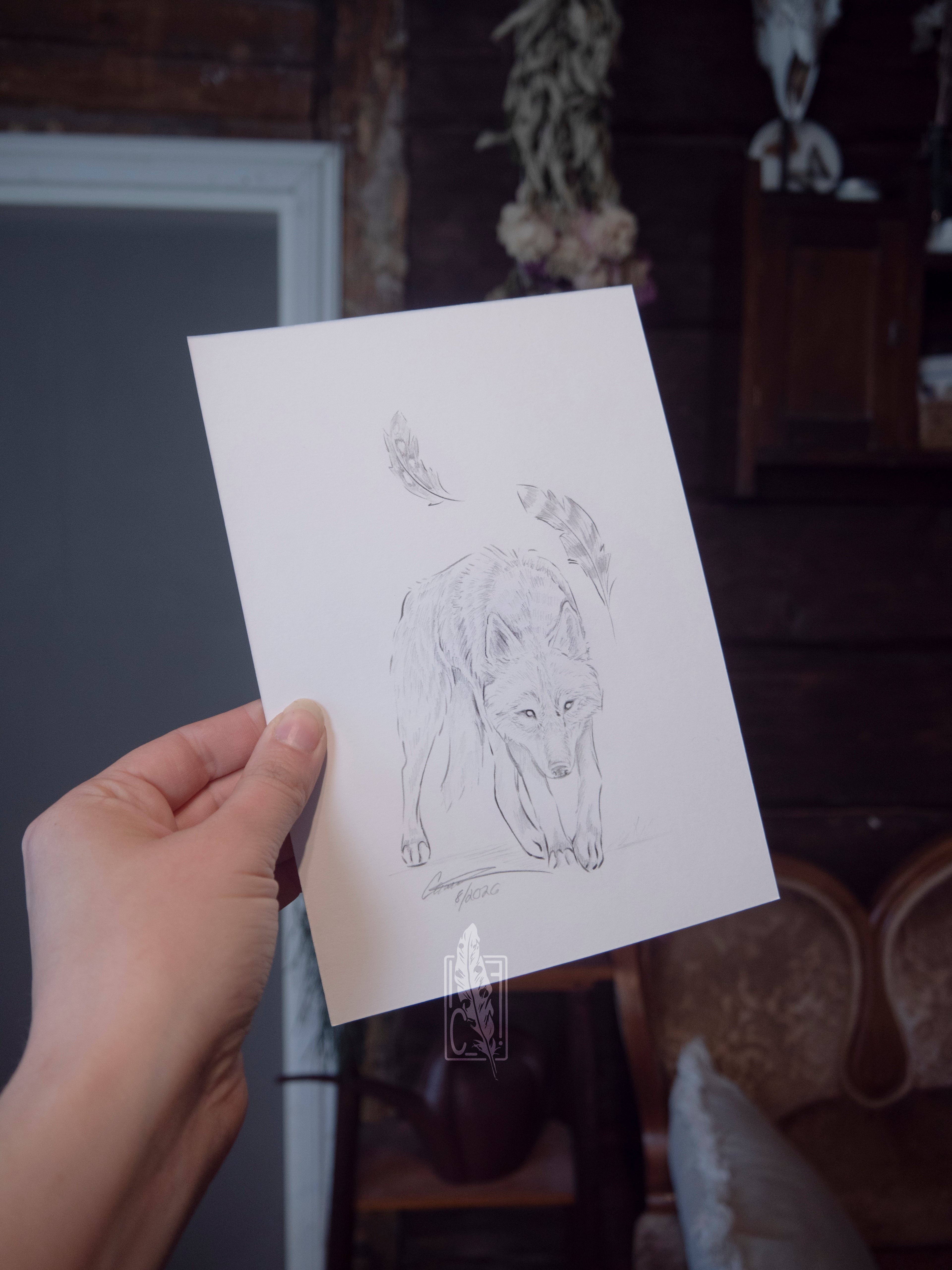 Wolf with feathers sketch